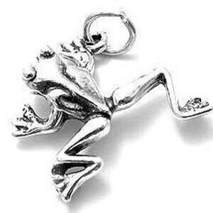 FROG CHARM IN 3D. STERLING SILVER.